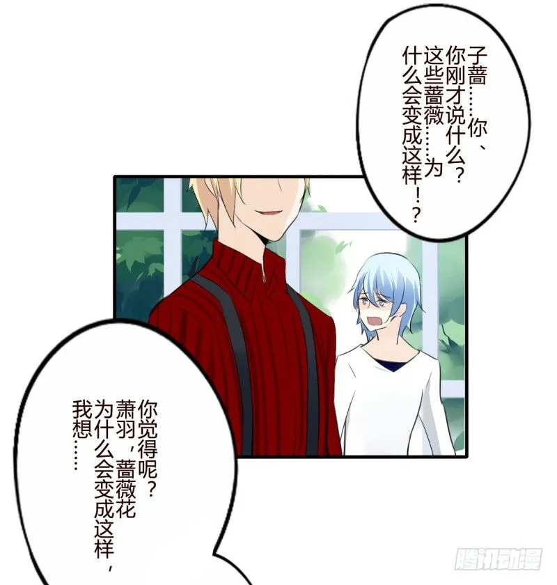 花儿与少年（3） 第11页