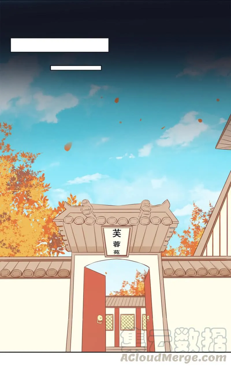 身价如何？ 第17页