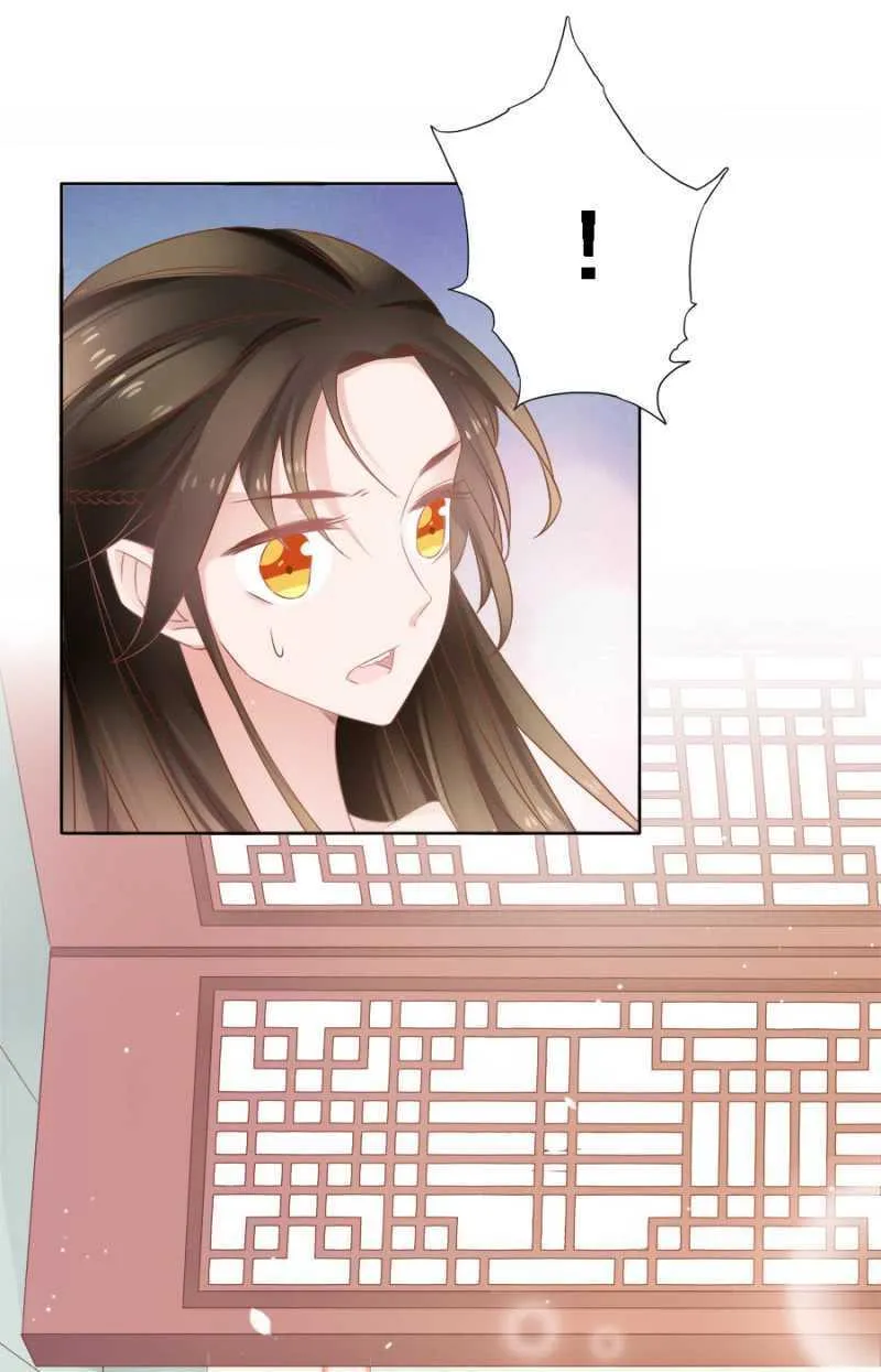 免死金牌 第36页