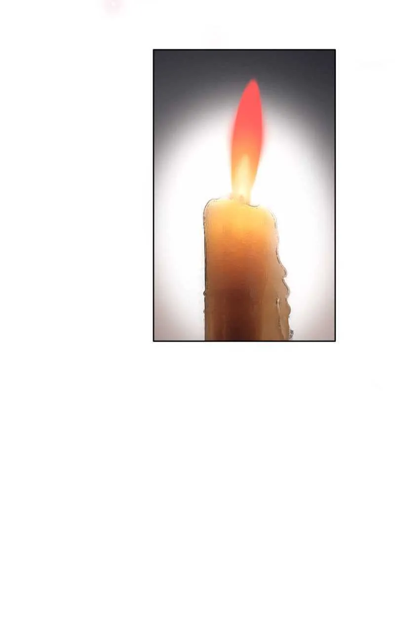 花与花农 第21页