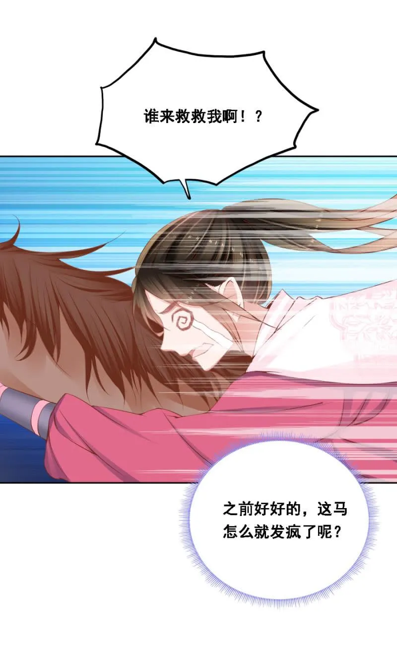 将门无犬女 第3页