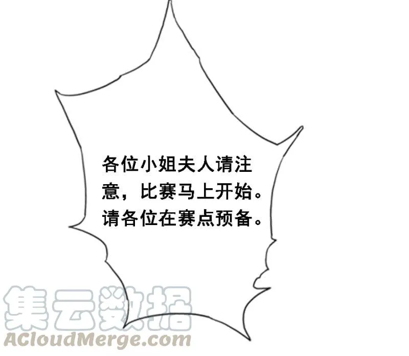 赛马 第17页