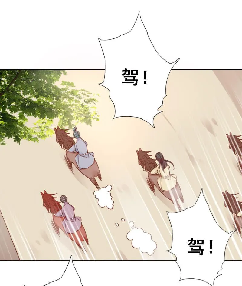 赛马 第19页