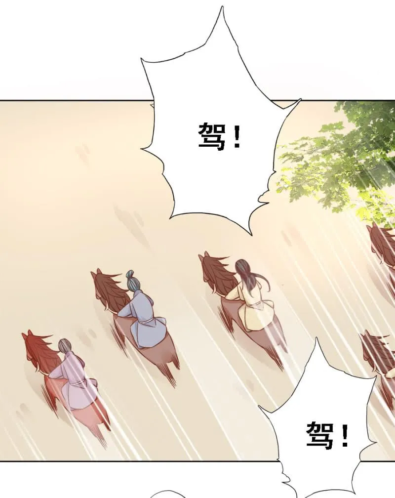 赛马 第28页
