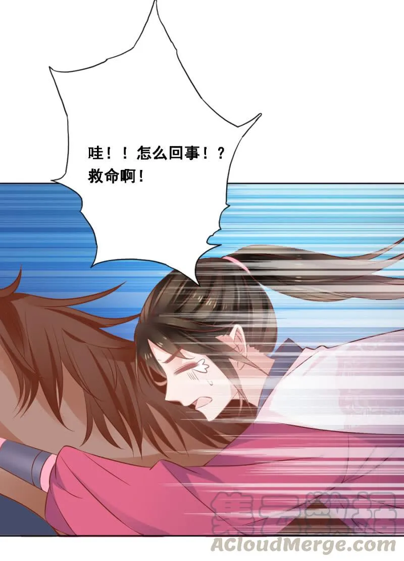 赛马 第37页