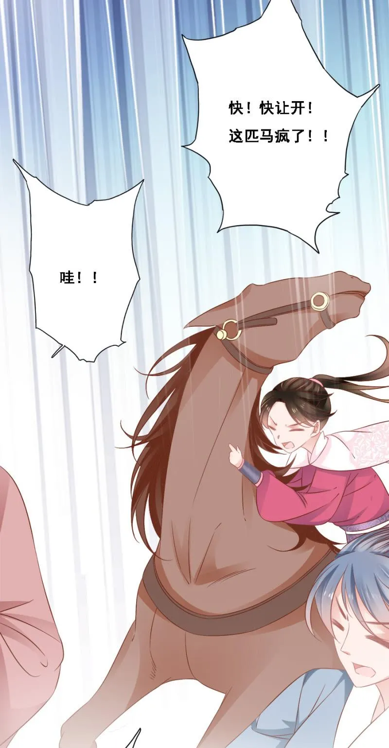赛马 第39页