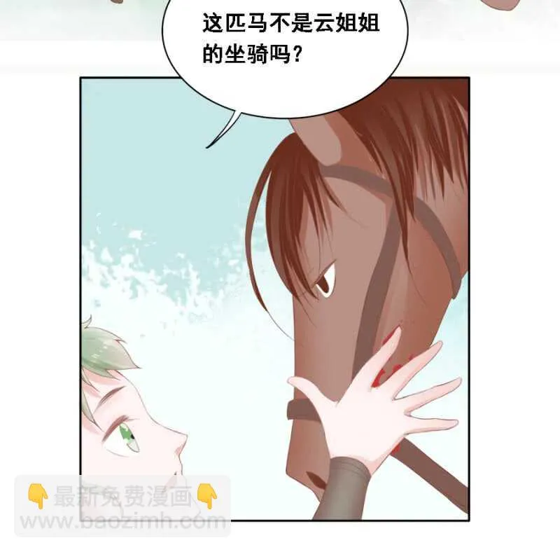 被算计 第31页