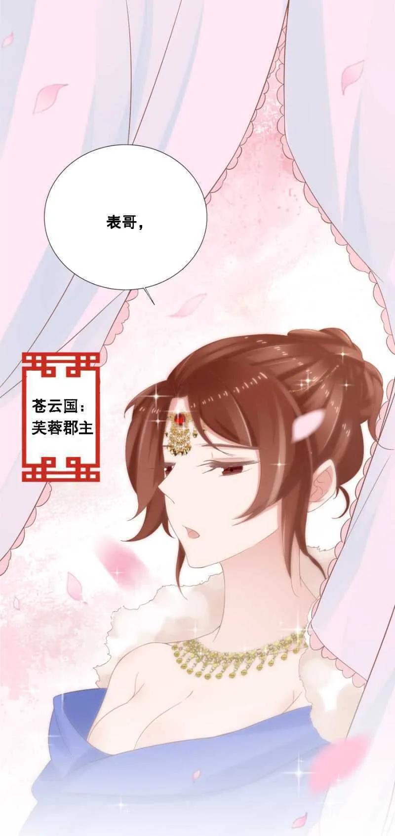 四国代表 第17页