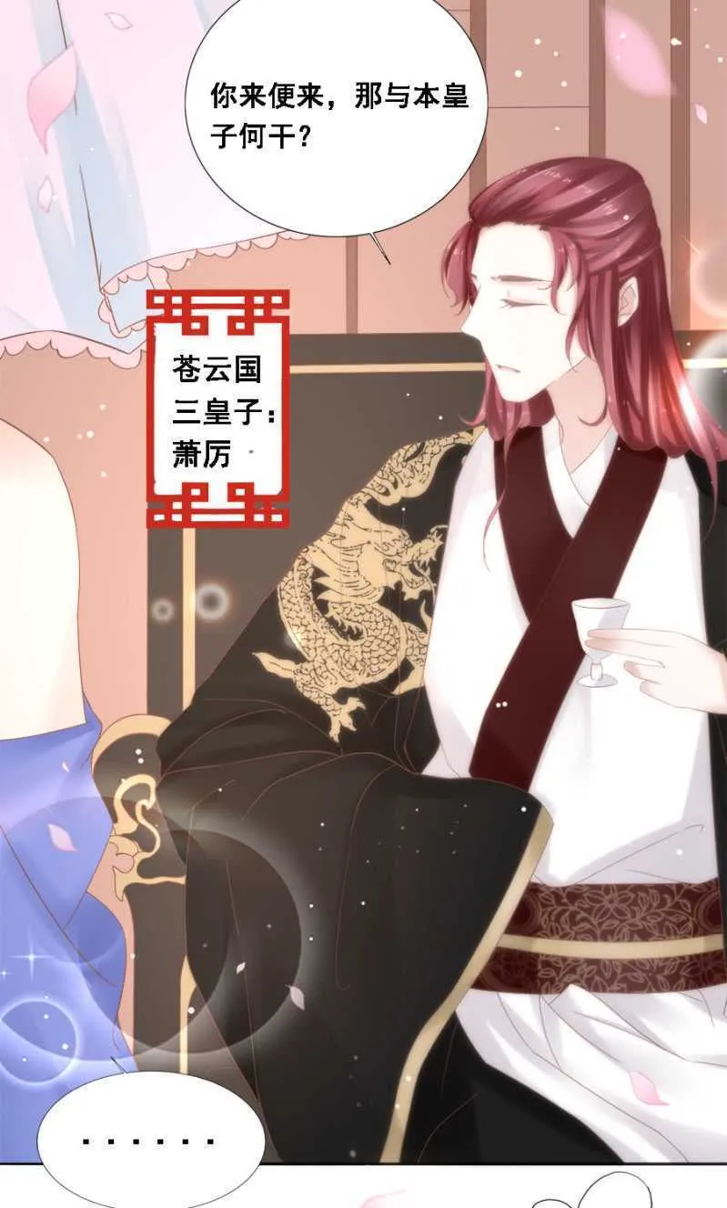 四国代表 第20页