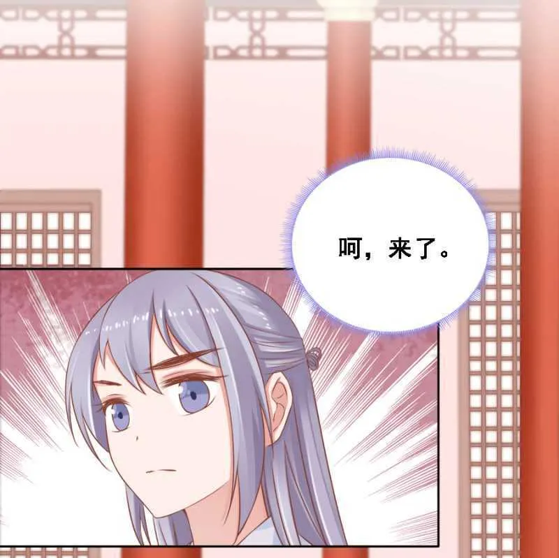 四国代表 第27页
