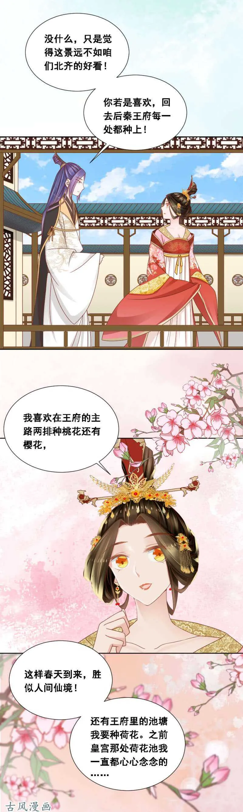 苍云风貌 第5页