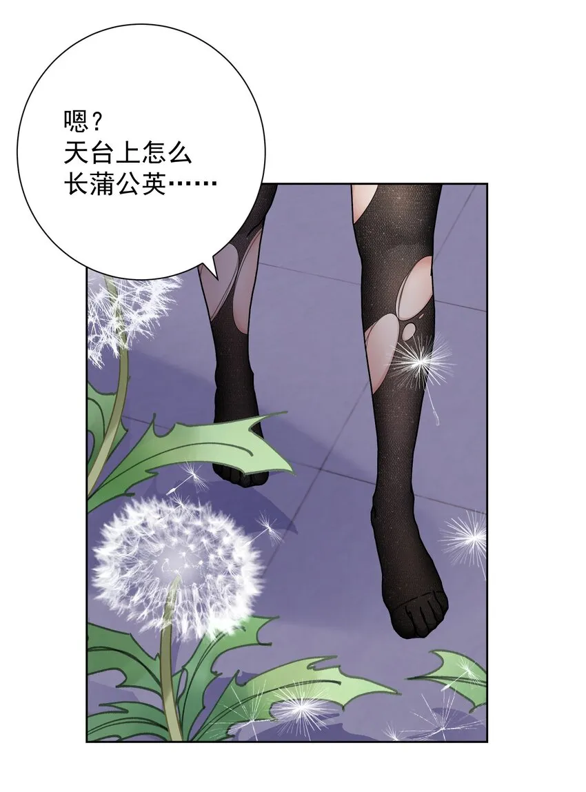 062 教主上天了 第42页