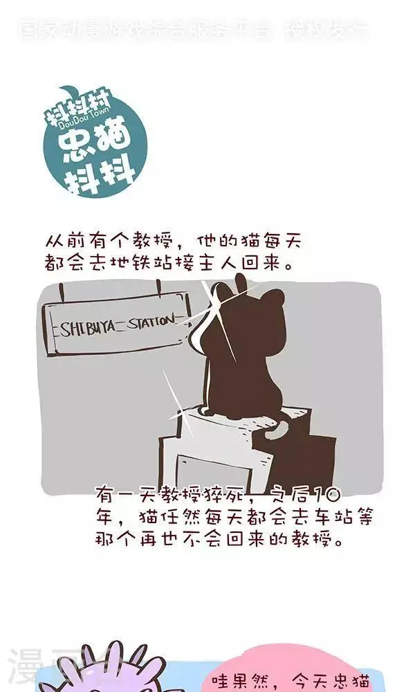 第六话 忠猫抖抖 第1页