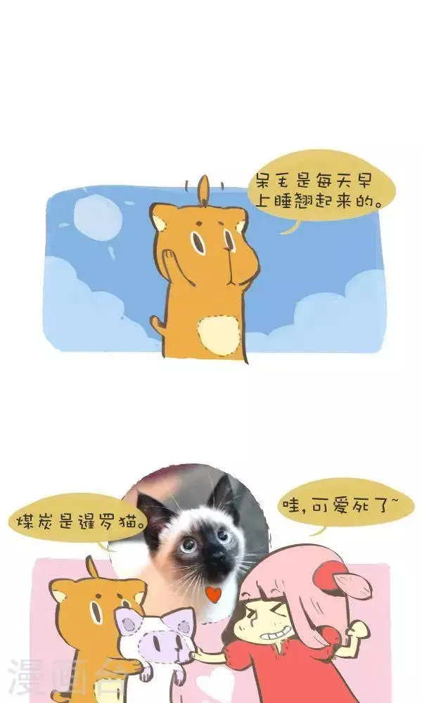 第八十二话 原型 第2页