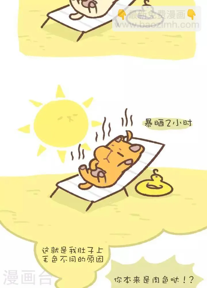 第一百零四话 造型 第2页
