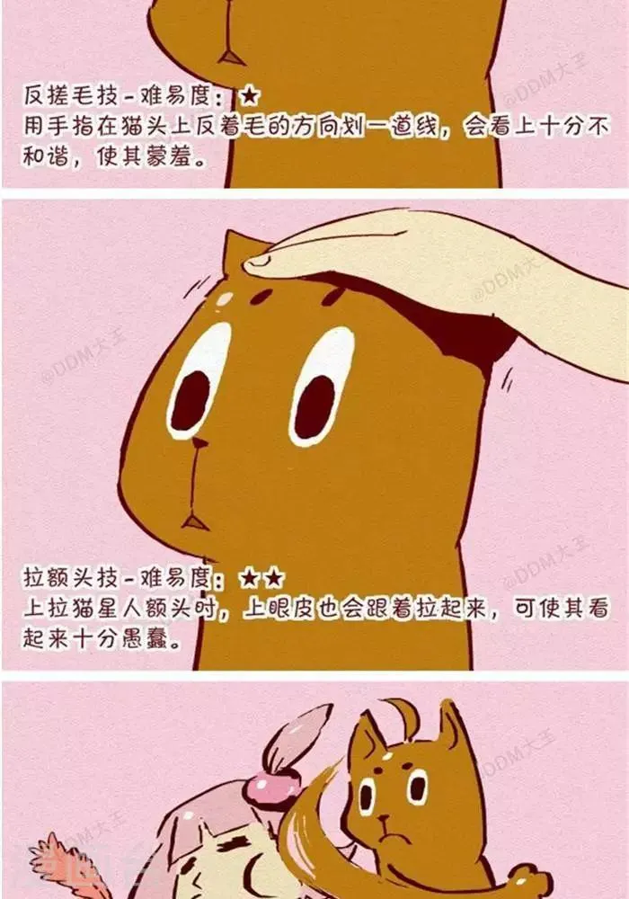 第130话 撸猫千法2 第2页