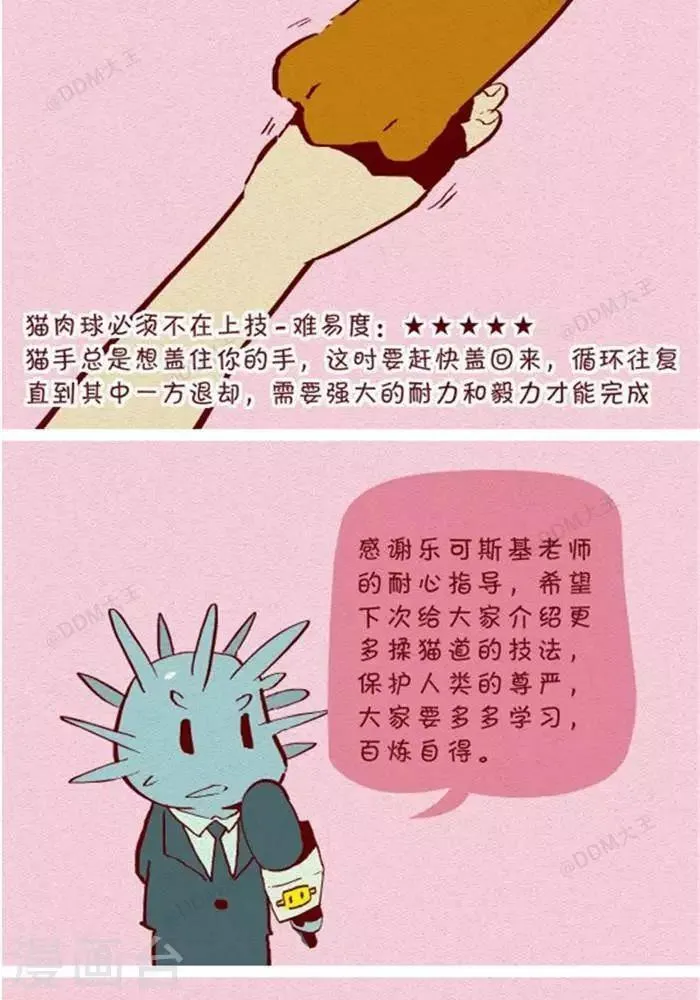 第130话 撸猫千法2 第5页