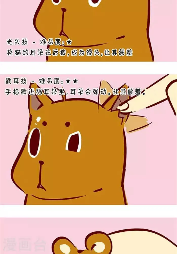 第129话 撸猫千法1 第2页
