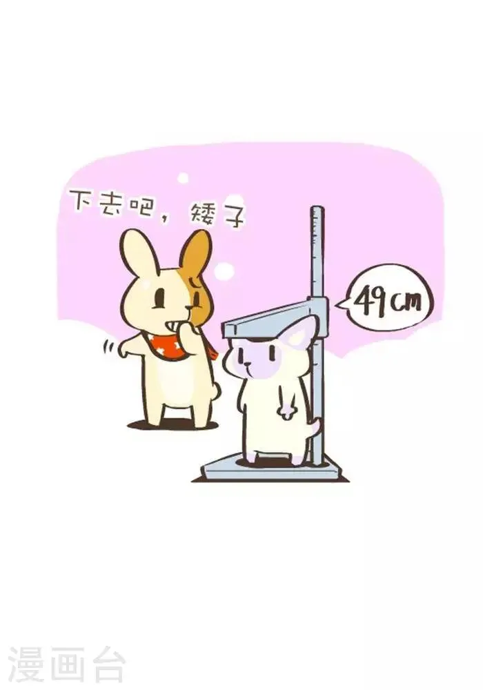 第142话 高度 第2页