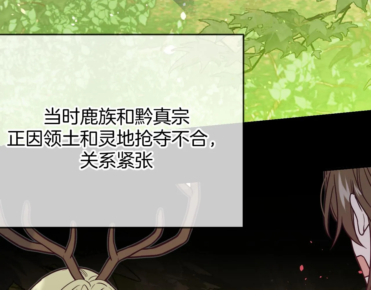第104话 长老他的过去 第14页