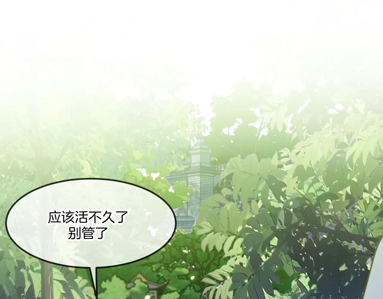 第104话 长老他的过去 第83页
