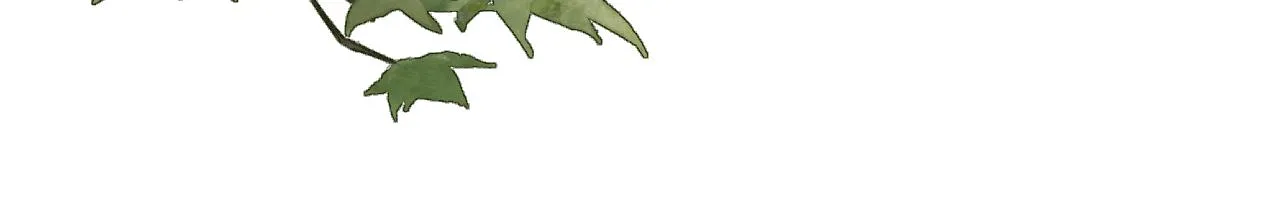 第107话 狼妖他的烦恼 第104页