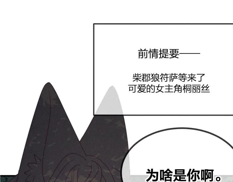 番外 白帝尊敬的人 第52页