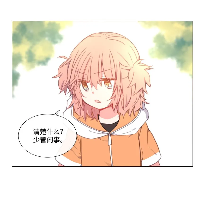 13 13 第11页