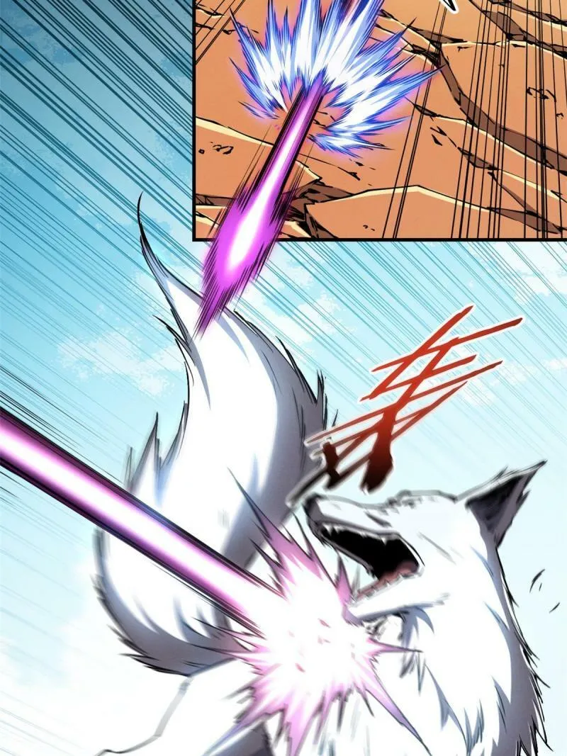 11 狡诈雪狐 第28页