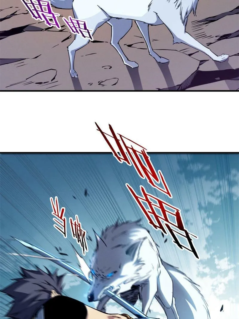 11 狡诈雪狐 第38页