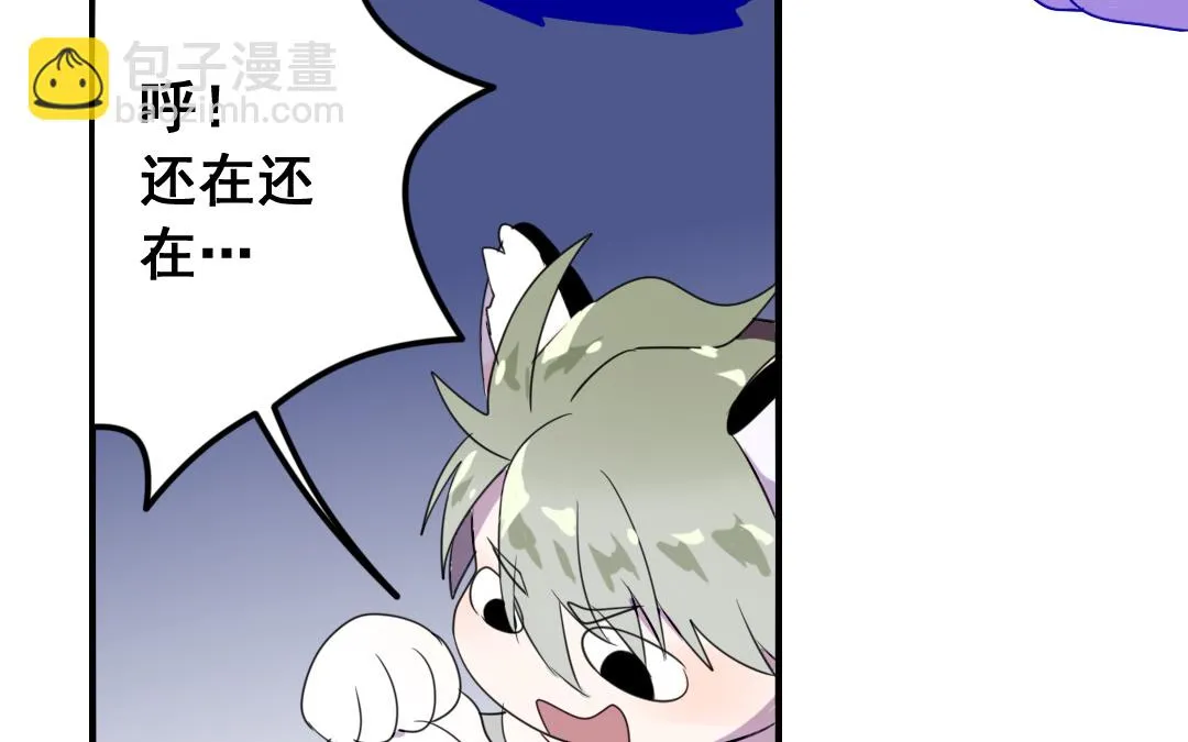第7话 此猫只应天上有 第11页