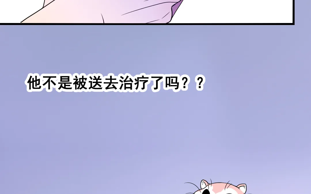 第7话 此猫只应天上有 第53页