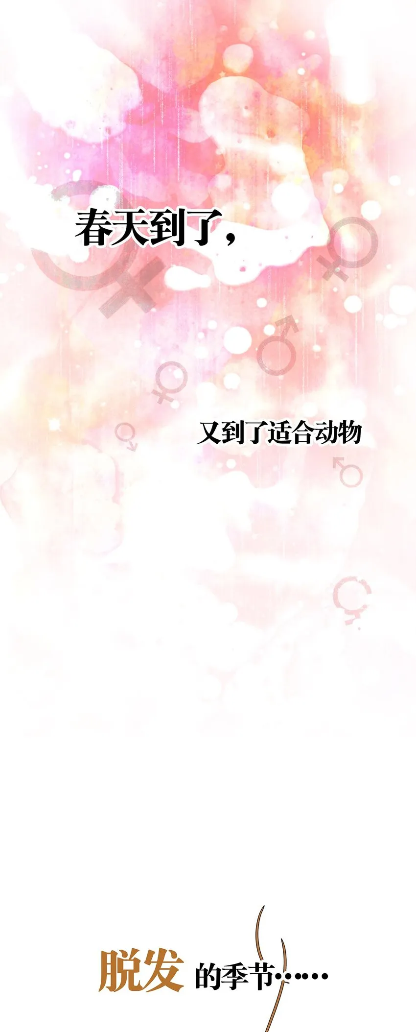 预告 掉毛的毛不密 第1页