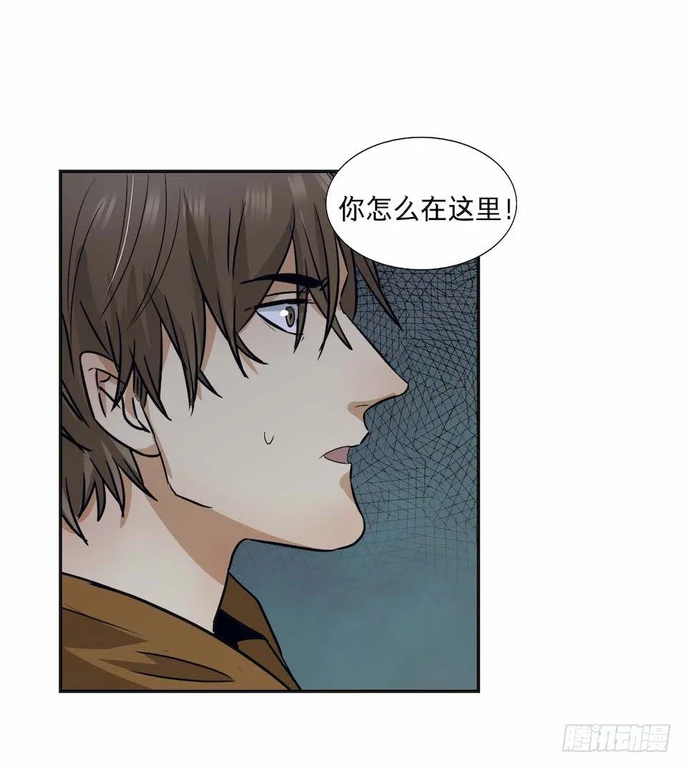 29 第3页