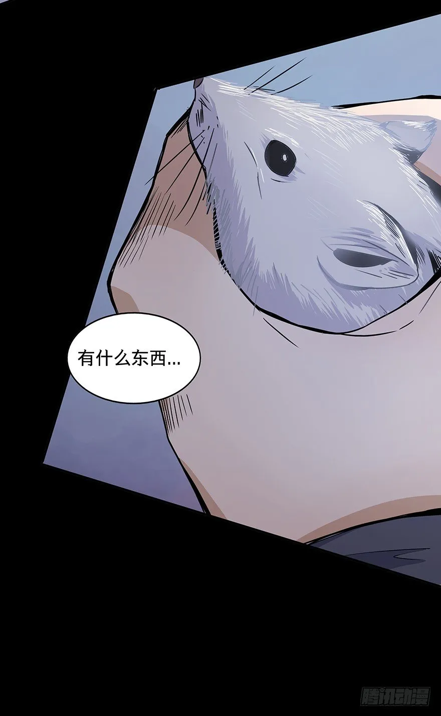 23 第32页