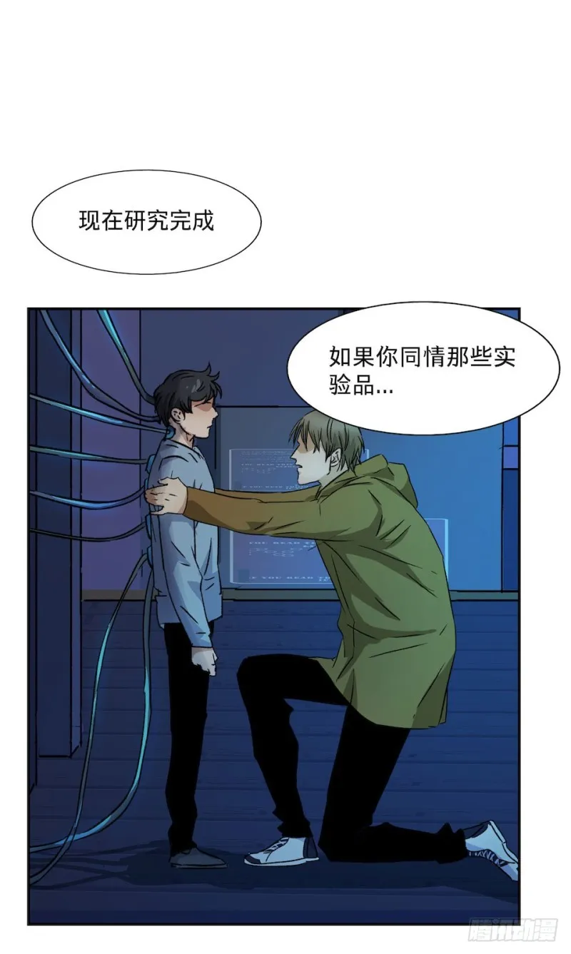 33 第43页