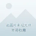 水映琴溪旧浪春 第10页