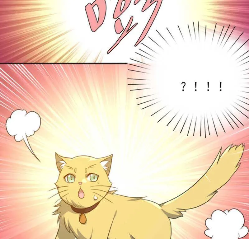 71，1 第6页