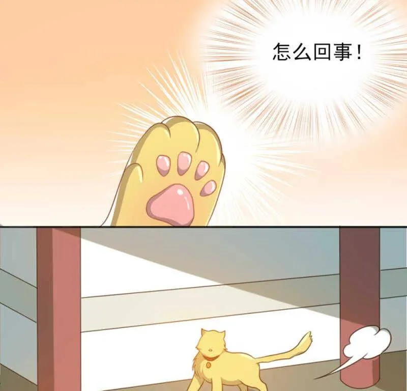 71，1 第8页