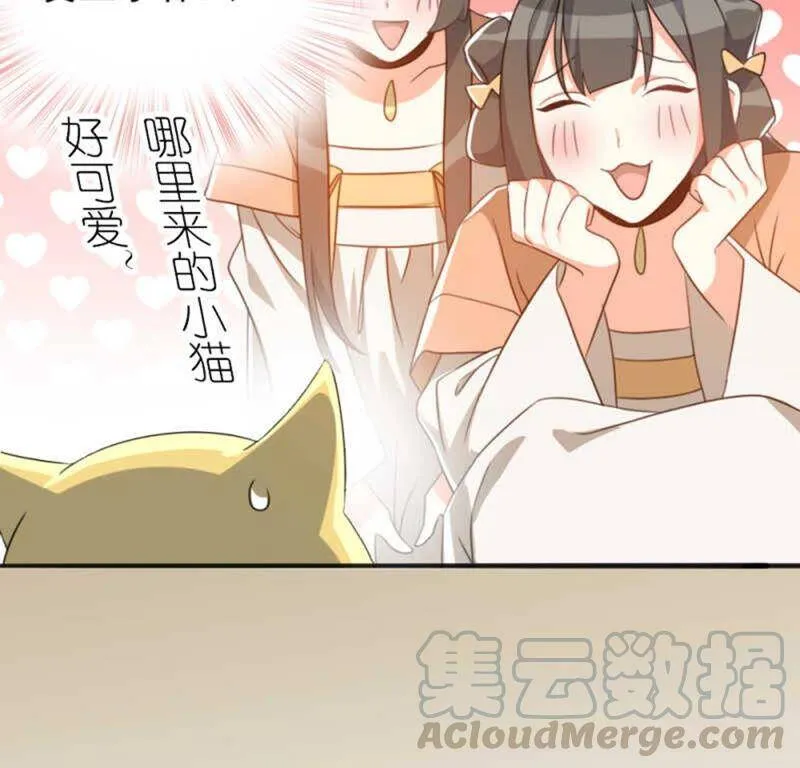 71，1 第10页