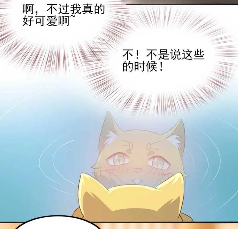 71，1 第12页