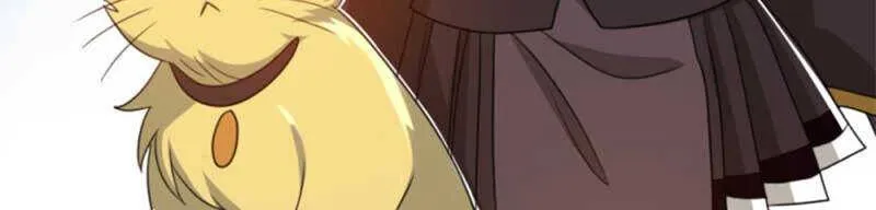71，1 第14页