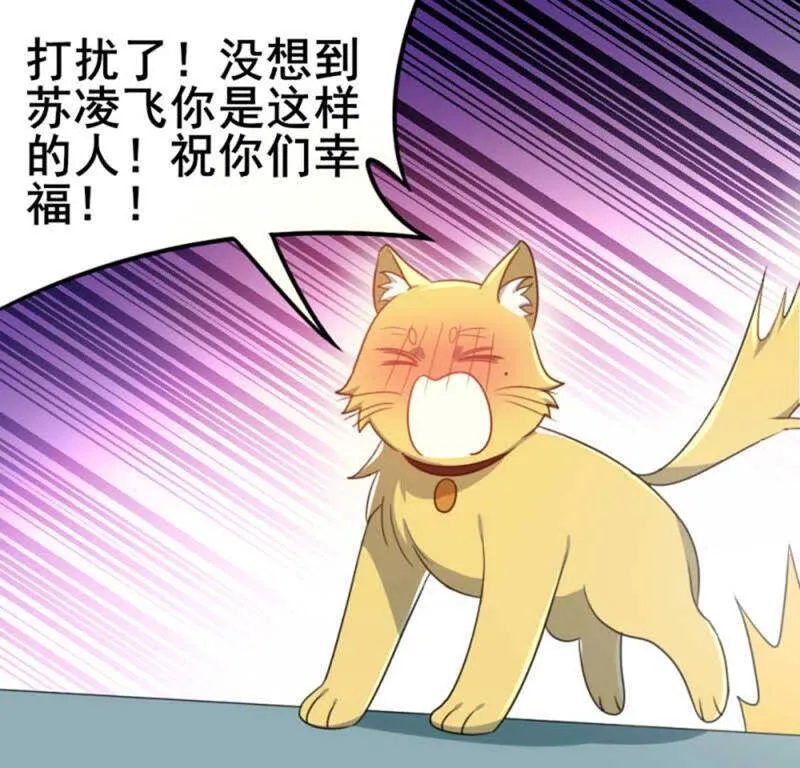 71，1 第29页