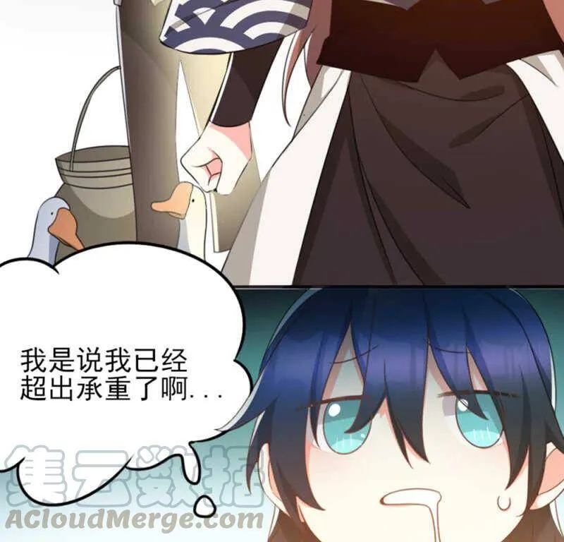 71，2 第31页