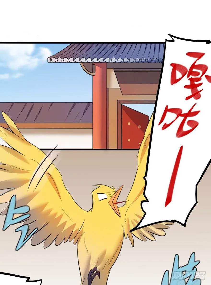 27 赛前特训开始了 第1页