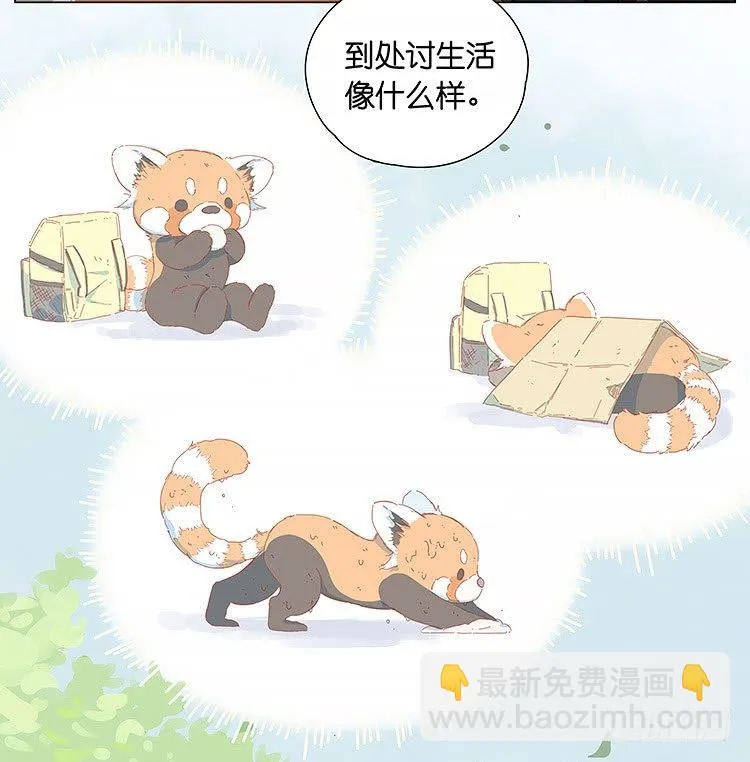 老板 第10页