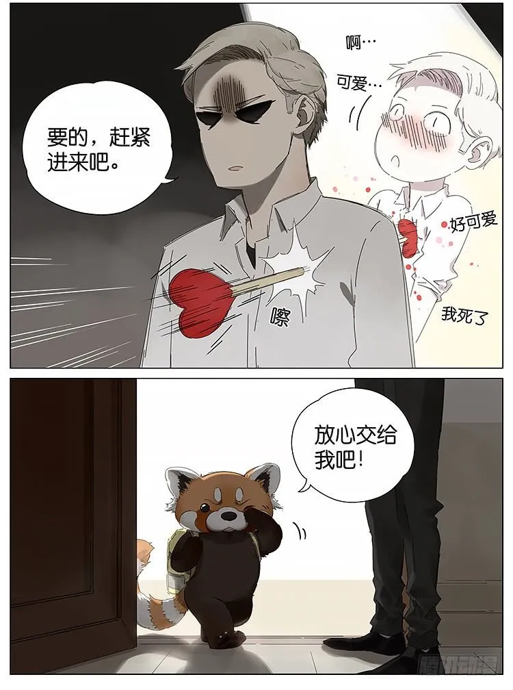 小熊猫 第7页