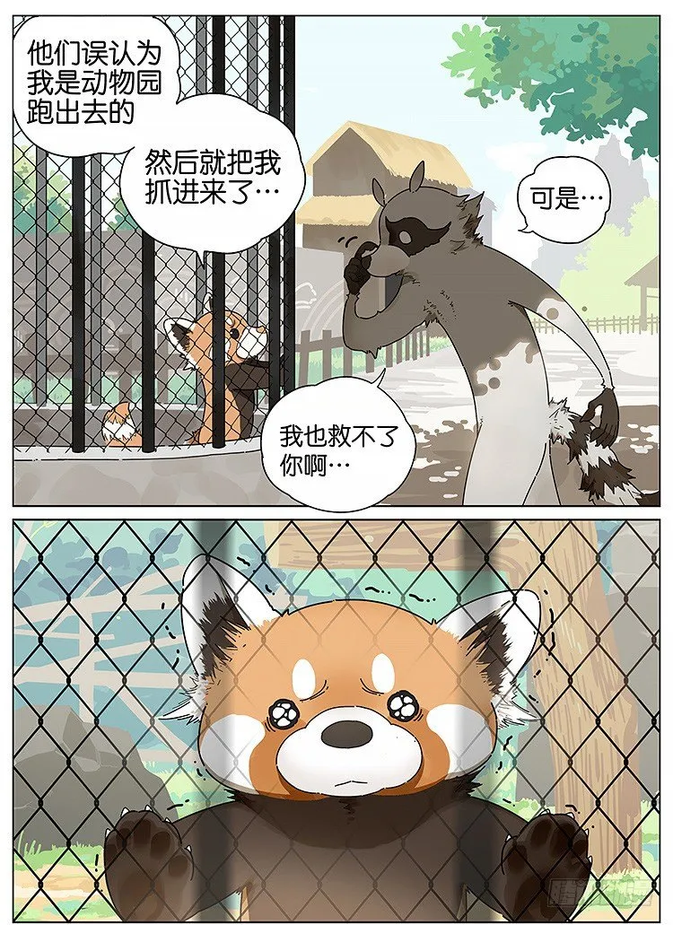 逛动物园 第3页