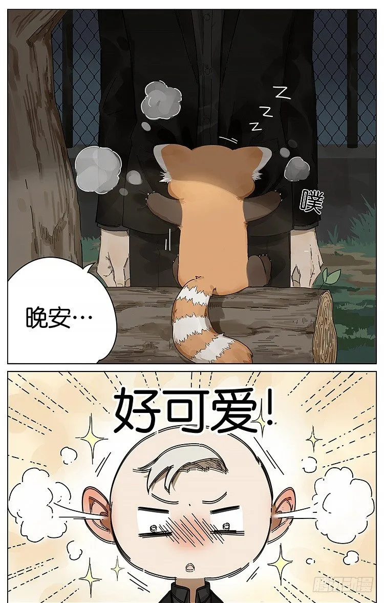 逛动物园 第7页