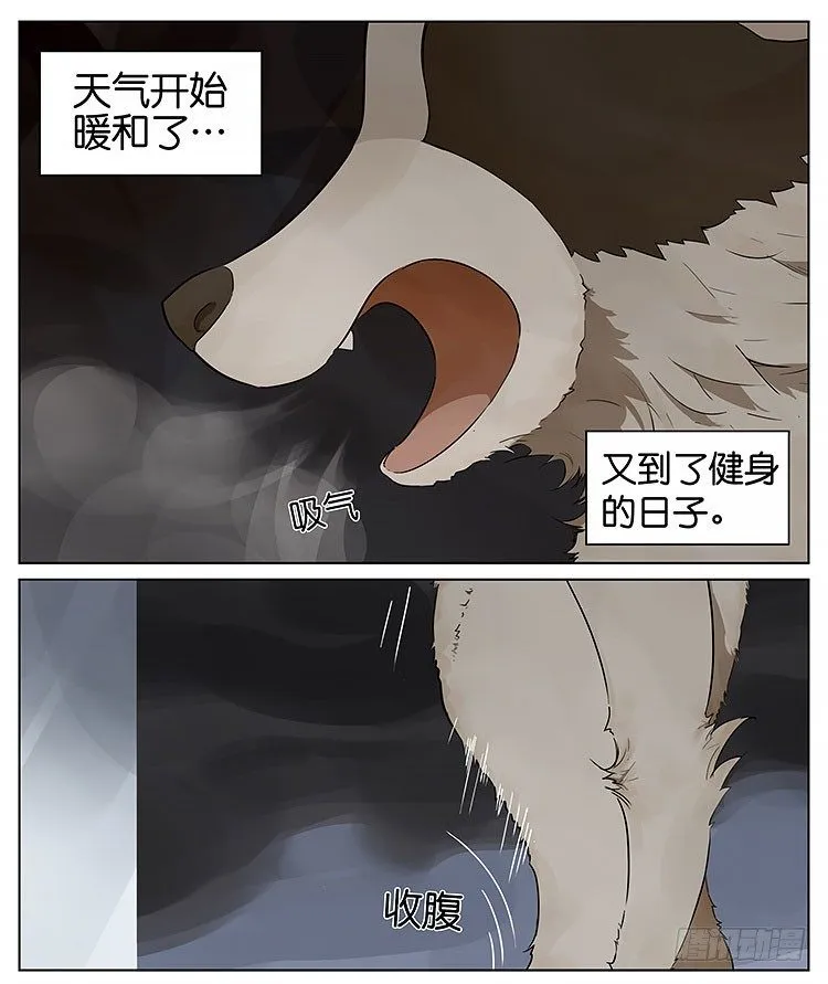 最近又要开始健身了 第1页